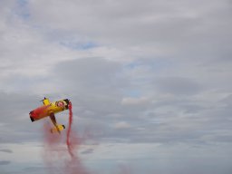 rodenberg2025 55